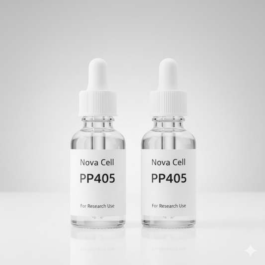 PP405 Research