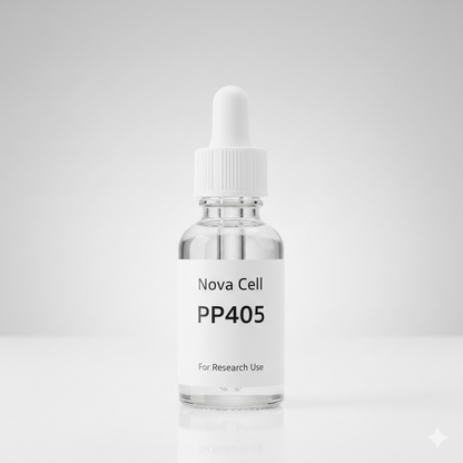 PP405 Research